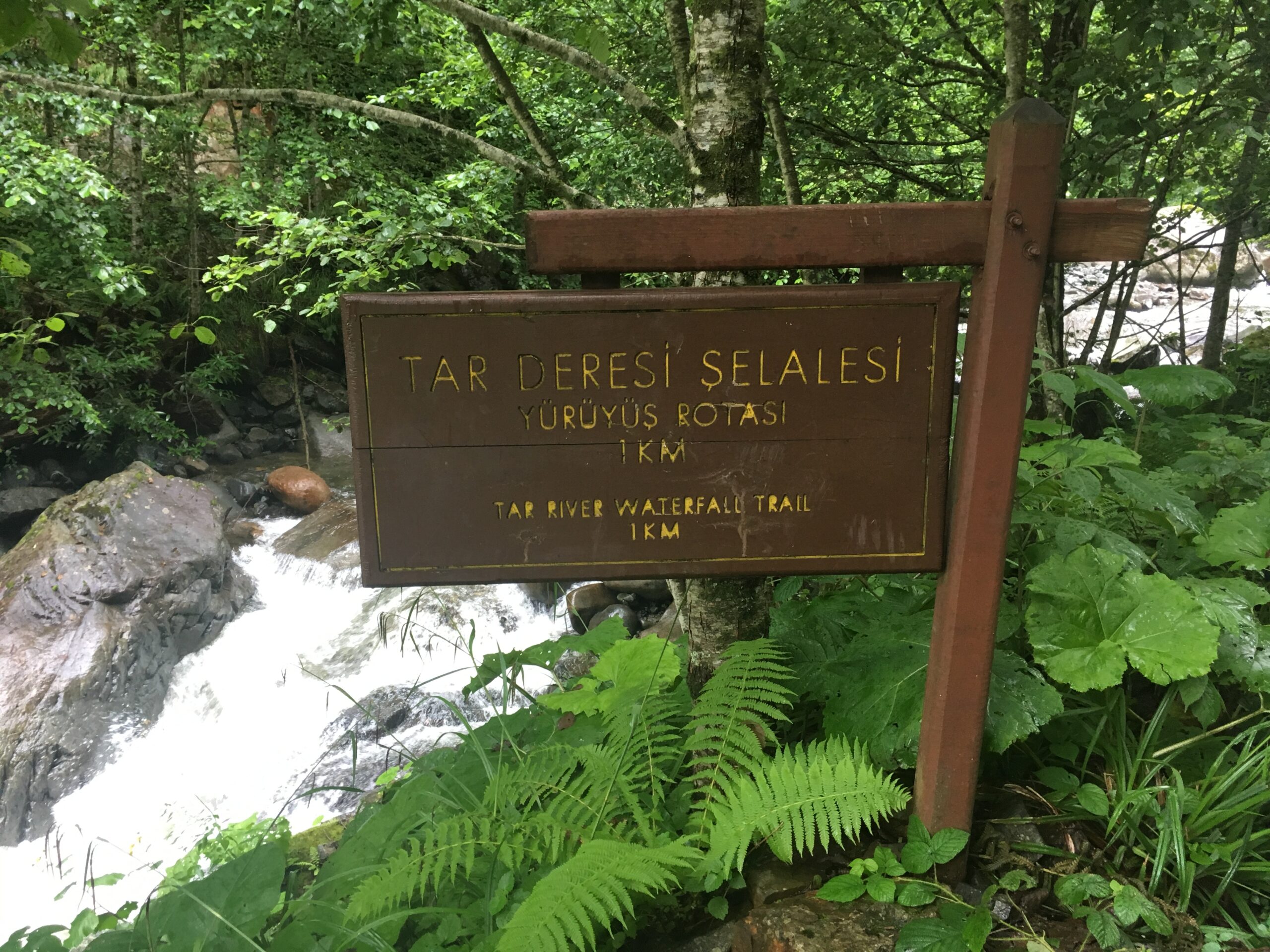 Tar deresi şelalesi