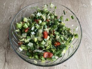 salata4
